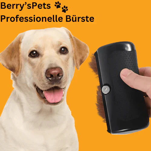 🐶🐱💥🔥 Brosse professionnelle pour animaux de compagnie