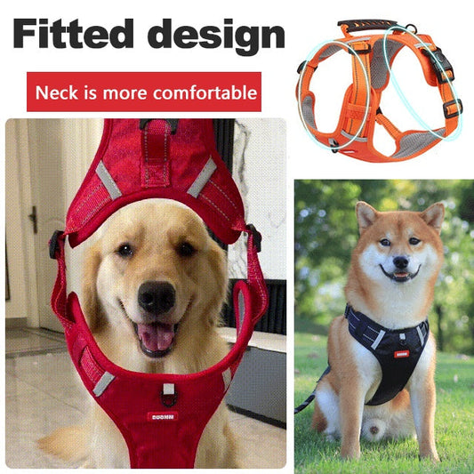 📢66% de réduction pour une durée limitée✨🐕Prix - Laisse pour animal gratuite !