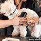 🐶🐱💥🔥 Brosse professionnelle pour animaux de compagnie