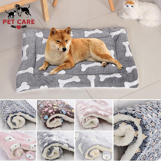 🐾Soldes exceptionnels 40 % de réduction🐱2025 Nouvelle couverture pour animaux de compagnie ultra confortable et apaisante