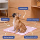 🐶50% discount 🐱Summer pet cooling mat with non-toxic self-cooling gel