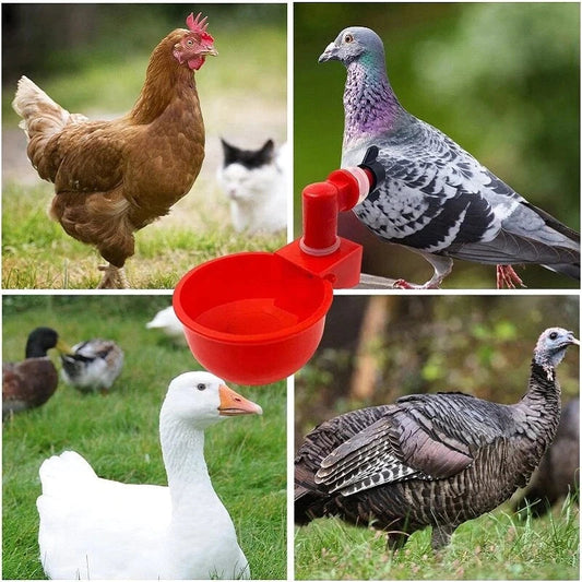🔥🔥Gift For Chicken Lovers 49% OFF--🔥Automatic Chicken Water Cup Bird Coo