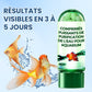 ⏳✨Achetez-en 3 obtenez-en 2 gratuit 💥🔥Comprimé Puissant de Purification de l'Eau pour Aquarium