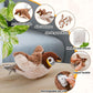 🔥Dernier jour 50% de réduction🐦Jouets à l'herbe à chat pour oiseaux à ailes battantes