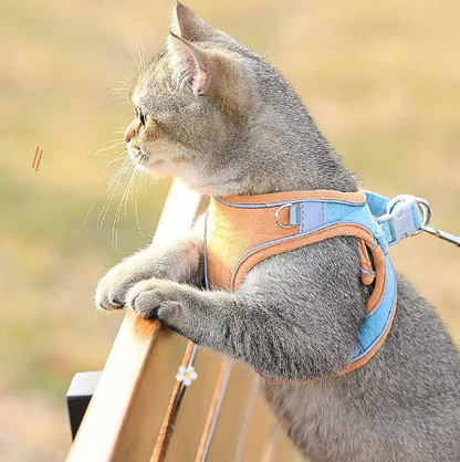 📢📢50 % DE RÉDUCTION !! ⏰ Harnais réfléchissant une pièce – Respirant, rembourré & sécurisé – Pour chiens & chats – fermeture facile, ajustement confortable – idéal pour les promenades nocturnes 🌙