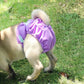 Washable Pet Diapers for Female Male Dogs, Reusable Doggy Diapers