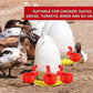 🔥🔥Gift For Chicken Lovers 49% OFF--🔥Automatic Chicken Water Cup Bird Coo