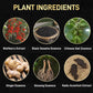 📢50% de réduction sur les nouveaux produits d'été🌸Crème colorante à base d'extraits de plantes🫧🌿