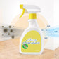 🏠🚀Les travaux ménagers Premier choix👍Spray d'élimination des moisissures sur les murs, aussi brillant que neuf