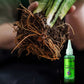 🌱La protection de l'environnement est une tendance, l'écologie est une attitude!⏰Solution nutritive à action rapide pour les plantes