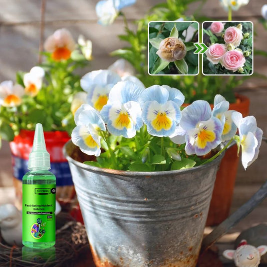 🌱La protection de l'environnement est une tendance, l'écologie est une attitude!⏰Solution nutritive à action rapide pour les plantes