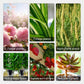 🌱La protection de l'environnement est une tendance, l'écologie est une attitude!⏰Solution nutritive à action rapide pour les plantes