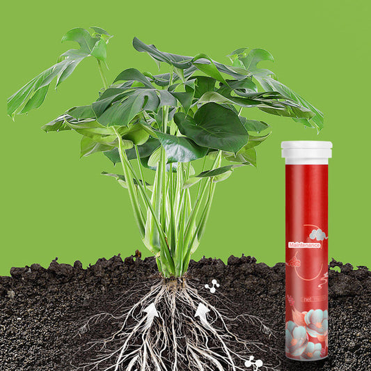 🍃Achetez-en 5 obtenez-en 5 gratuitement🌵🌸Comprimés nutritionnels universels vitalité pour la croissance des plantes