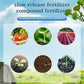 🍃Achetez-en 5 obtenez-en 5 gratuitement🌵🌸Comprimés nutritionnels universels vitalité pour la croissance des plantes