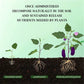 🍃Achetez-en 5 obtenez-en 5 gratuitement🌵🌸Comprimés nutritionnels universels vitalité pour la croissance des plantes