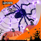 📢📢50% DE RÉDUCTION !! ⏰Décoration Araignée Noire d'Halloween avec Lumière