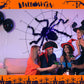 📢📢50% DE RÉDUCTION !! ⏰Décoration Araignée Noire d'Halloween avec Lumière
