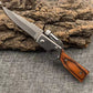 🏆✨🔪Couteau pliant portable en acier inoxydable pour l'extérieur