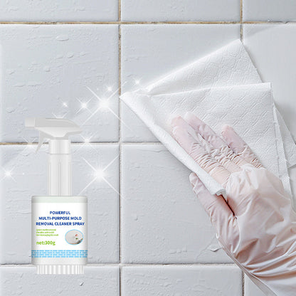 💥Offre de réduction💥 Spray nettoyant puissant pour l'élimination des moisissures
