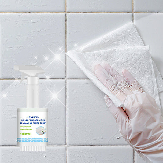 💥Offre de réduction💥 Spray nettoyant puissant pour l'élimination des moisissures