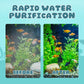 💥50% de réduction💥Filtre multifonctionnel d'aquarium purifiant, filtrant et oxygénant
