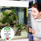 🔥Comprimé Puissant de Purification de l'Eau pour Aquarium