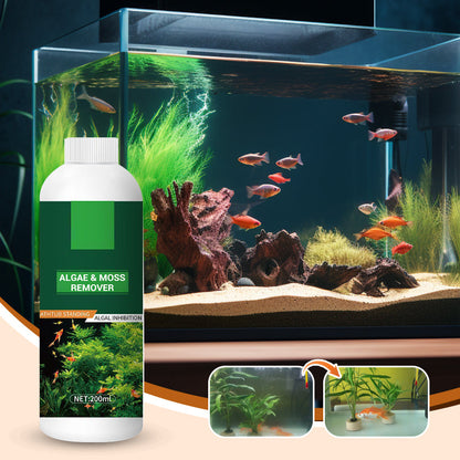 Détachant d'Algues et de Mousse pour Aquarium - Purification de l’Eau Sans Danger