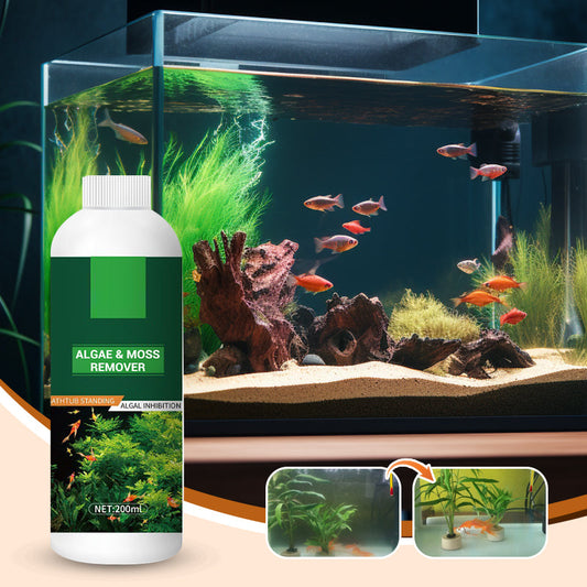 Détachant d'Algues et de Mousse pour Aquarium - Purification de l’Eau Sans Danger