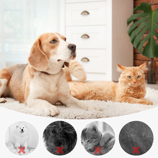 🔥 🐶 Vente chaude du nouvel an 50% de réduction 🐱 Peigne d'épilation PET Spray