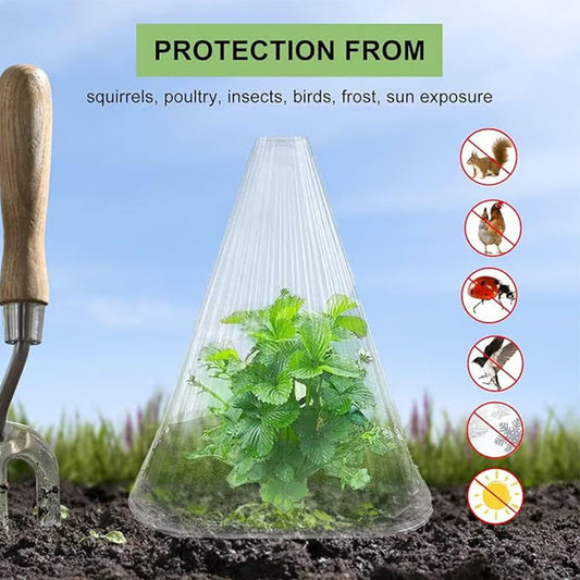 🔥Achetez-en 5，recevez-en 5 gratuits 🔥 Housses de protection pour jeunes plants — matière PET épaissie — Protège les plantes contre les oiseaux et le gel