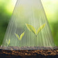 🔥Achetez-en 5，recevez-en 5 gratuits 🔥 Housses de protection pour jeunes plants — matière PET épaissie — Protège les plantes contre les oiseaux et le gel