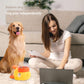 🐶Jouet de puzzle interactif pour chien & slow Feeder (deux en un)🐶