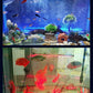 💕💕Lampe à bulles colorées aquarium LED