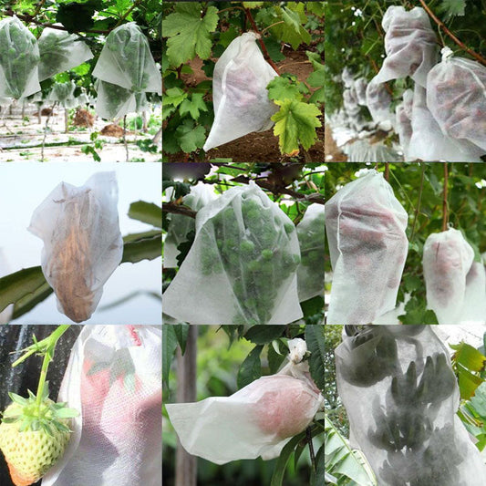🌳 ACHETEZ 2, OFFERT 1 ! 🛡️ Housse de Protection en Filet pour Arbres Fruitiers – Anti-Oiseaux, Respirant & Réutilisable 🍎