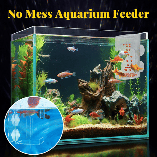 🔥 50% DE RÉDUCTION ! ✨ Anneau Nourrisseur pour Aquarium - Alimentation sans Arrêt de la Pompe, Fixation par Ventouses, Entretien Facile pour une Eau Propre 🐟💧