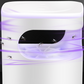 ✨Retours limités à l'été& 75% de réduction✨🔇🦟UV Fly Trap with Transparent Catch Box