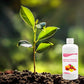 ✨🍎Hot Sale&Achetez-en 3 et obtenez-en 2 gratuitement✨Solution nutritive pour floraison abondante et rendement accru