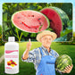 ✨🍎Hot Sale&Achetez-en 3 et obtenez-en 2 gratuitement✨Solution nutritive pour floraison abondante et rendement accru