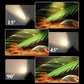 📢50% de réduction pour une durée limitée✨🪄 Zoomable aquarium LED projecteur 🪄