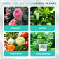 🔥Solution nutritive hydroponique pour la croissance des plantes☘️Offre limitée : plus que 30 articles disponibles !🚚🚚