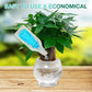 🏡Achetez 3 obtenez-en 2 GRATUITE !🪴Solution nutritive hydroponique pour la croissance des plantes☘️💦