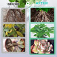 🏡Achetez 3 obtenez-en 2 GRATUITE !🪴Solution nutritive hydroponique pour la croissance des plantes☘️💦