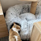🔥 55 % DE RÉDUCTION 🎁Lit tunnel rond souple pliable 2 en 1 pour chat d'intérieur