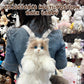 📢📢57% DE RÉDUCTION !!!✨Sac à dos en peluche avec chat mignon
