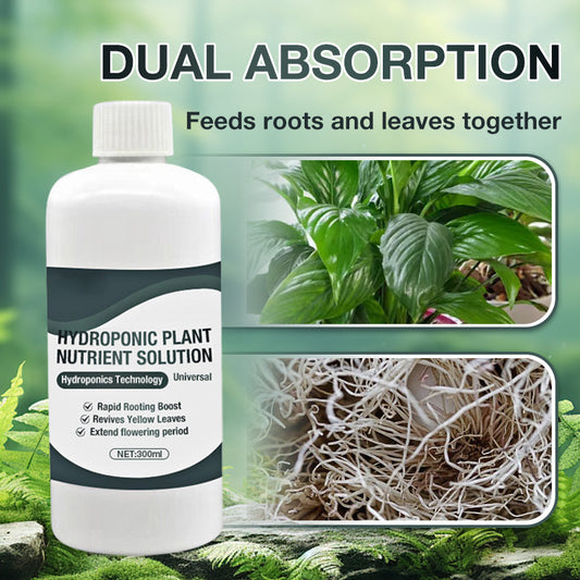 📢Grande vente!!!! ⏰Solution nutritive pour plantes hydroponiques