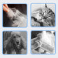 📢📢 50% DE RÉDUCTION ! ✨Peigne Efficace pour Enlever Les Poils d’Animaux