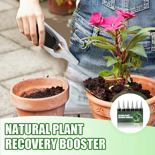 ⏰⏰⏰Achetez-en 2 et obtenez-en 1 gratuitement📍Booster naturel pour la régénération des plantes, riche en nutriments essentiels