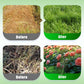 ⏰⏰⏰Achetez-en 2 et obtenez-en 1 gratuitement📍Booster naturel pour la régénération des plantes, riche en nutriments essentiels