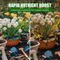 ⏰⏰⏰Achetez-en 2 et obtenez-en 1 gratuitement📍Booster naturel pour la régénération des plantes, riche en nutriments essentiels