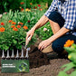 ⏰⏰⏰Achetez-en 2 et obtenez-en 1 gratuitement📍Booster naturel pour la régénération des plantes, riche en nutriments essentiels